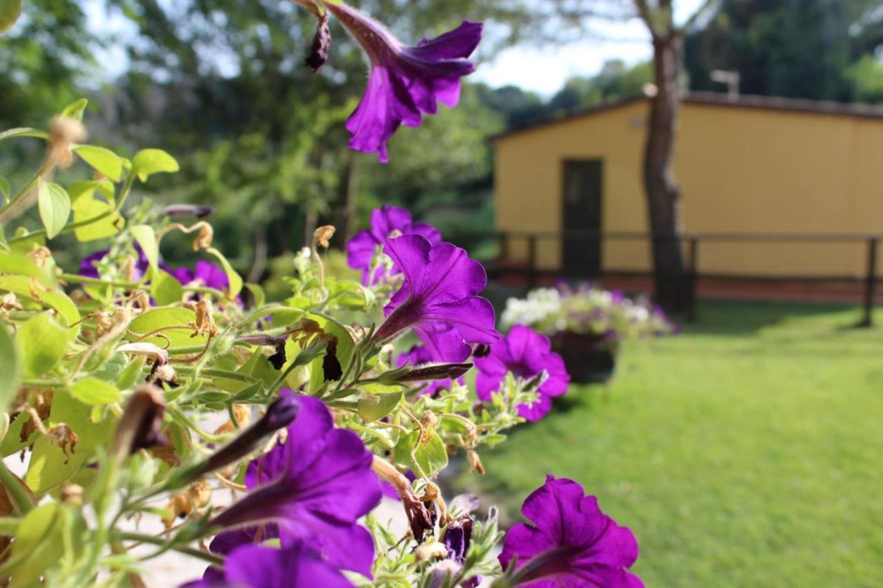 Bed & Breakfast Il Gelso Nero